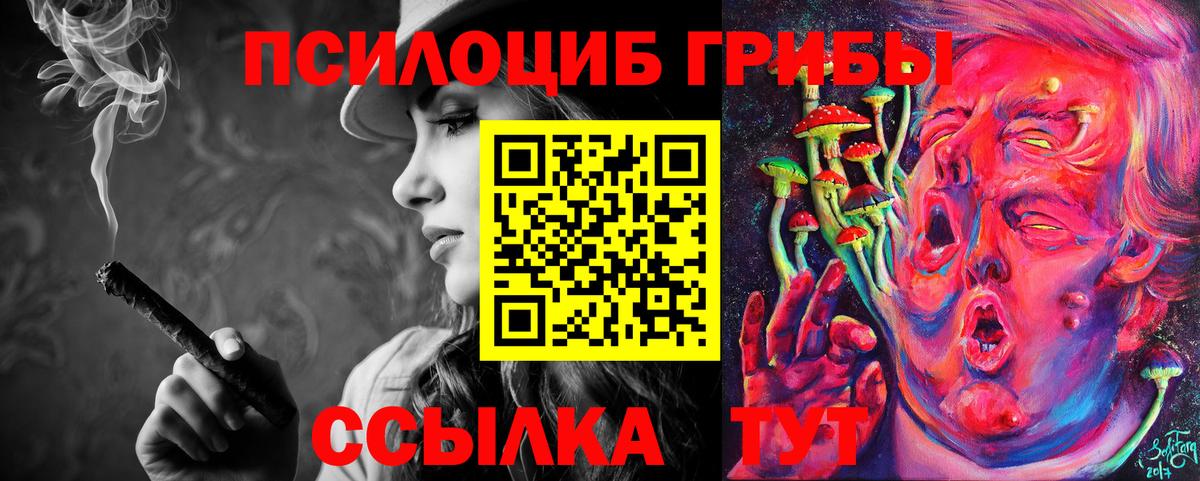 Галлюциногенные грибы прущие грибы Балаково