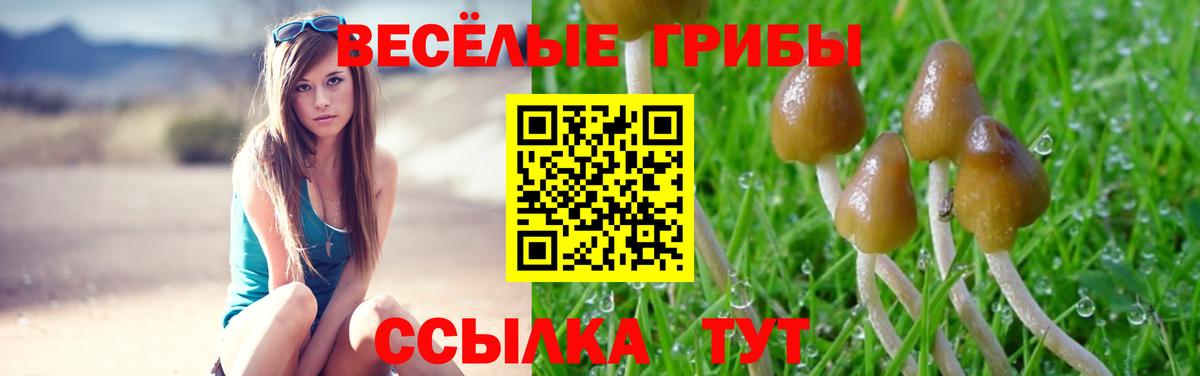 Галлюциногенные грибы Cubensis  Вход с VPN  Галлюциногенные грибы прущие грибы  купить  цена  Балаково 